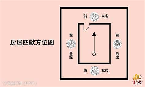 客廳龍邊擺設|風水龍邊佈置訣竅